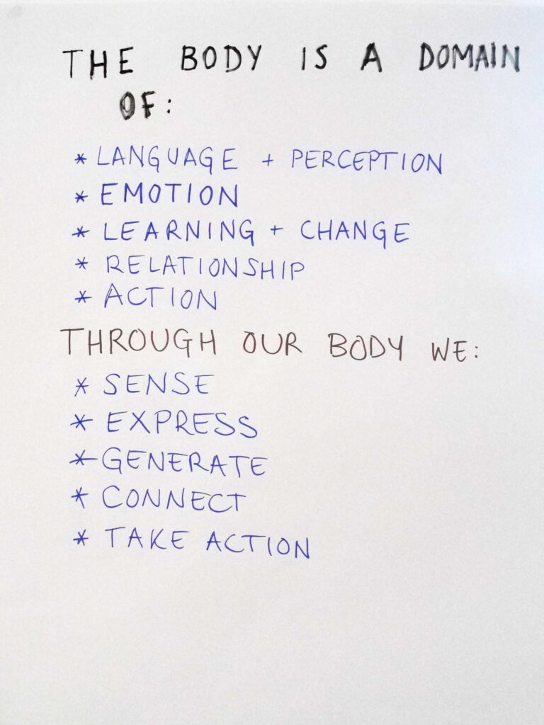 The body is a domain of:
language + perception
emotion 
learning + change 
relationship 
action 

through our body we:
sense 
express 
generate 
connect
take action